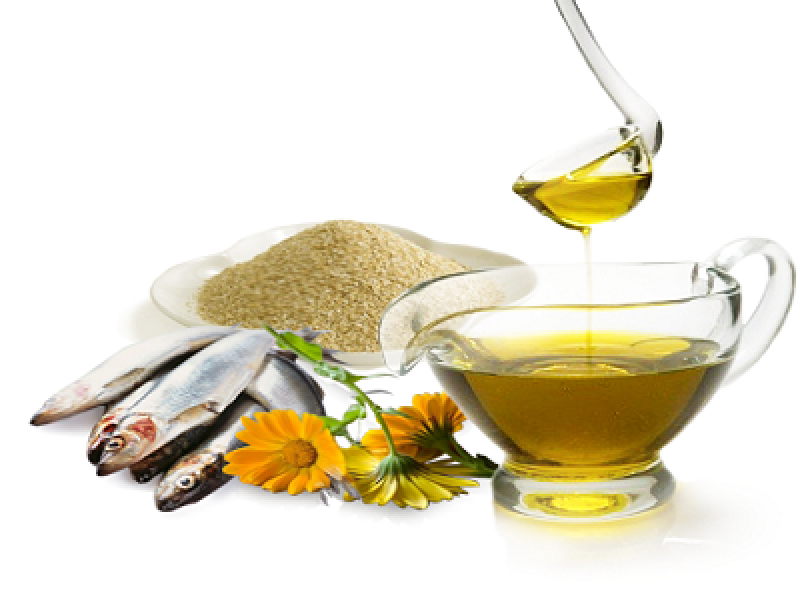 Fishmeal & Fish Oil