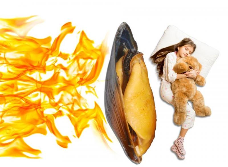 Flame Retardants for Aerospace Plastics