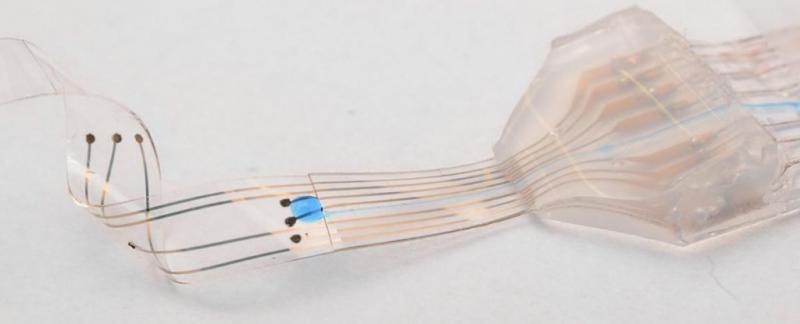 Flexible Spinal Implants Market