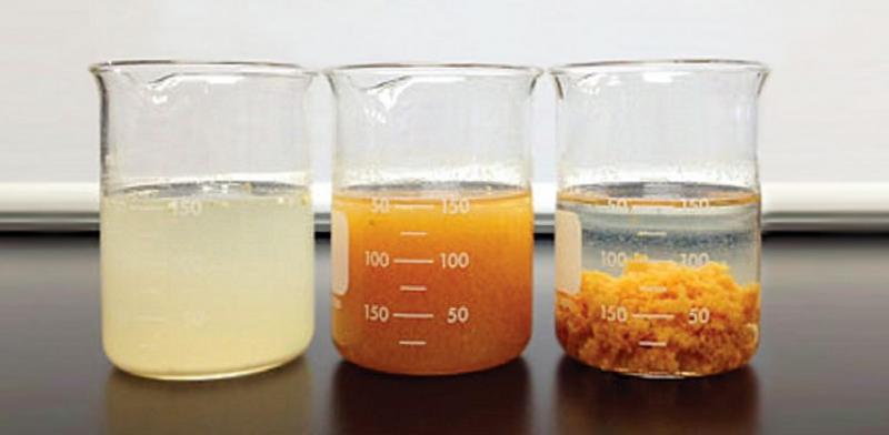 Flocculant and Coagulant Market