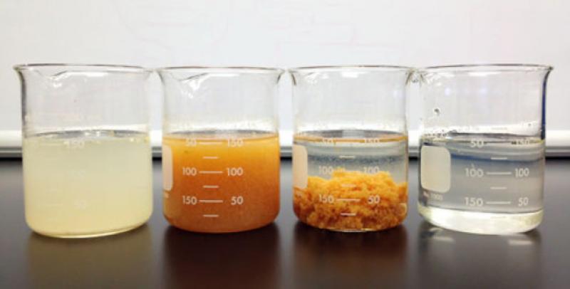Flocculant and Coagulant