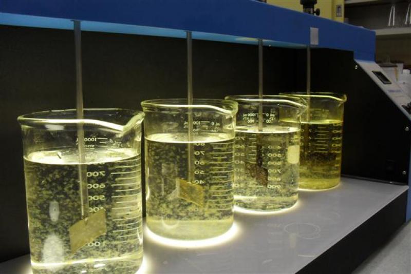 Flocculants and Coagulant Market 