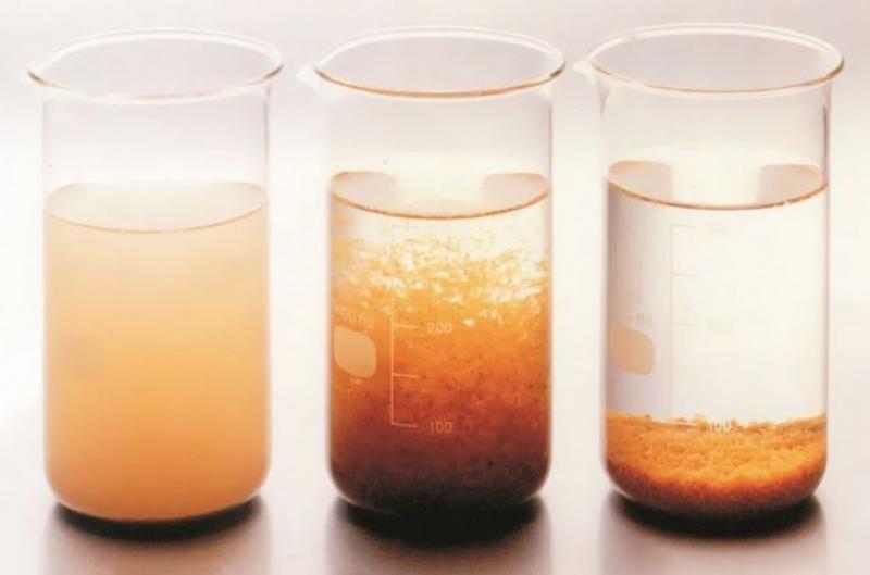 Flocculants and Coagulants Market