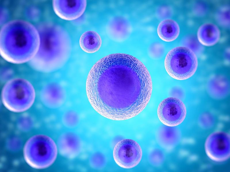 Flow Cytometry Market