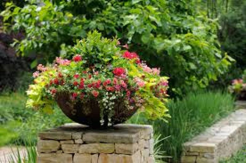  Flower Pots and Planters 