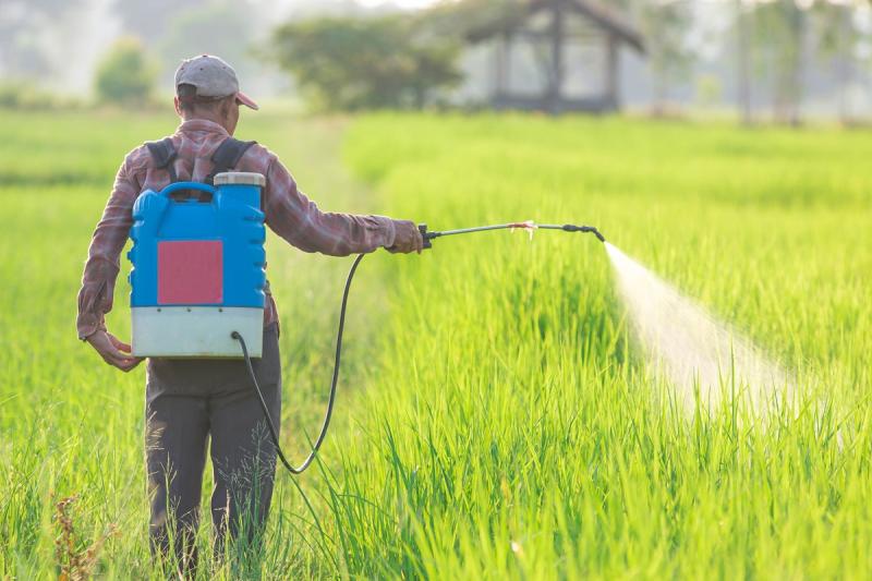 Foliar Spray Market