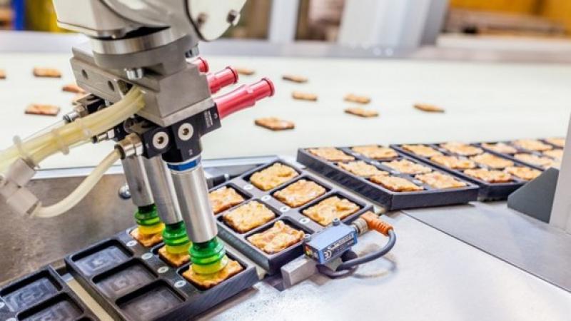 Food And Beverage Industrial Robotics Market 