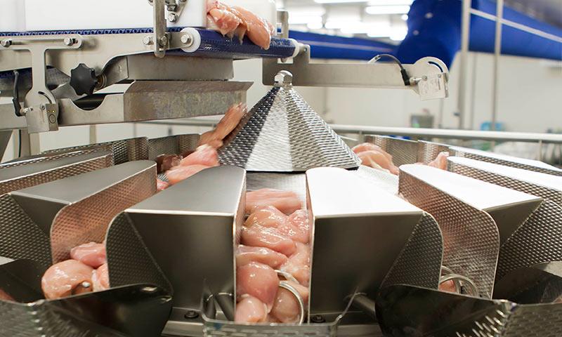 Food Processing and Packaging Equipment