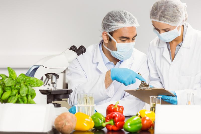 Food Safety Testing Market Size, Status and Forecast 2022 Food Safety Testing