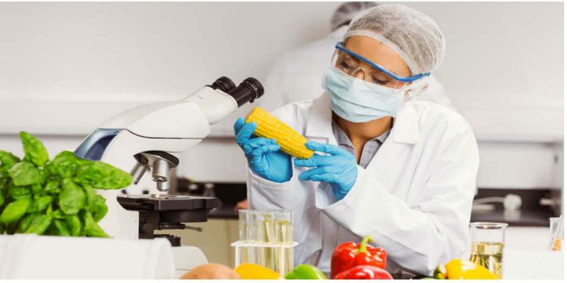 Food Safety Testing Market