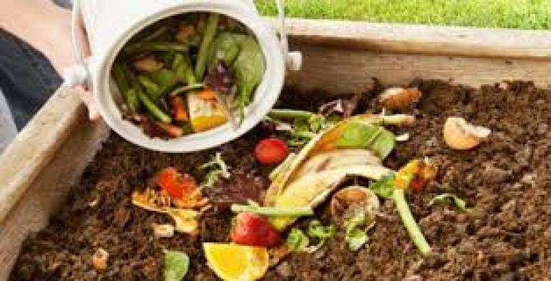 Food Waste Management 