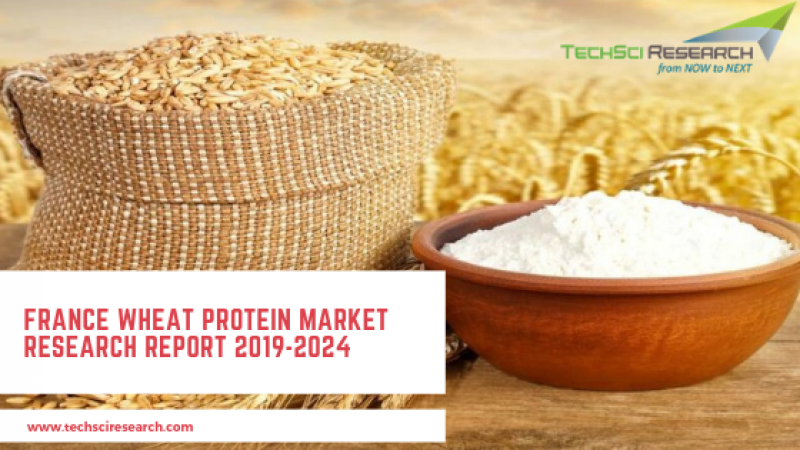 France Wheat Protein Market