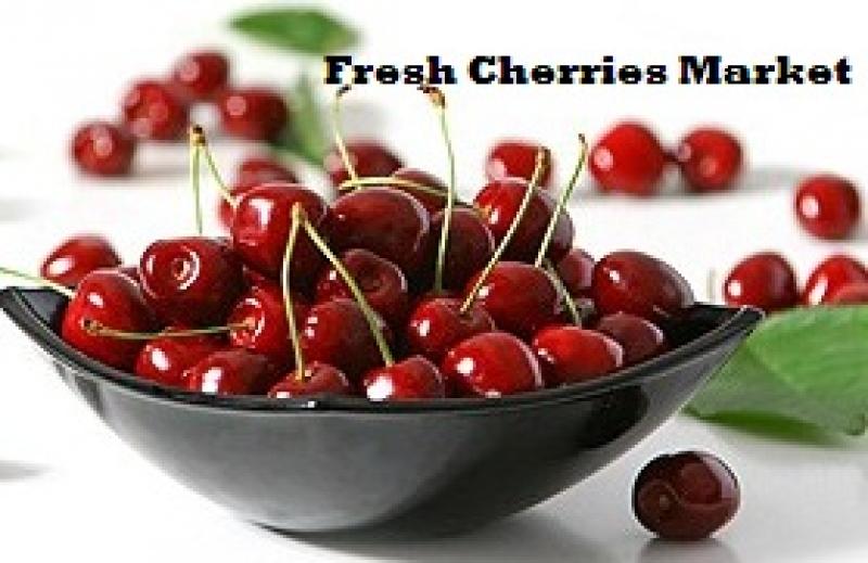 Fresh Cherries Market Fresh Cherries Market