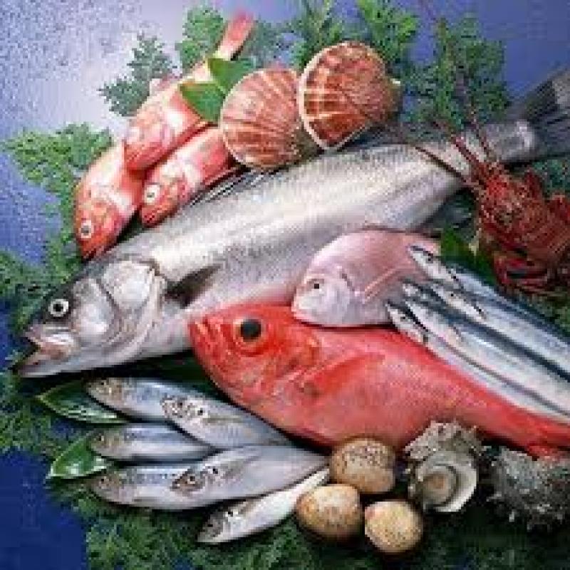 Fresh Fish and Seafood