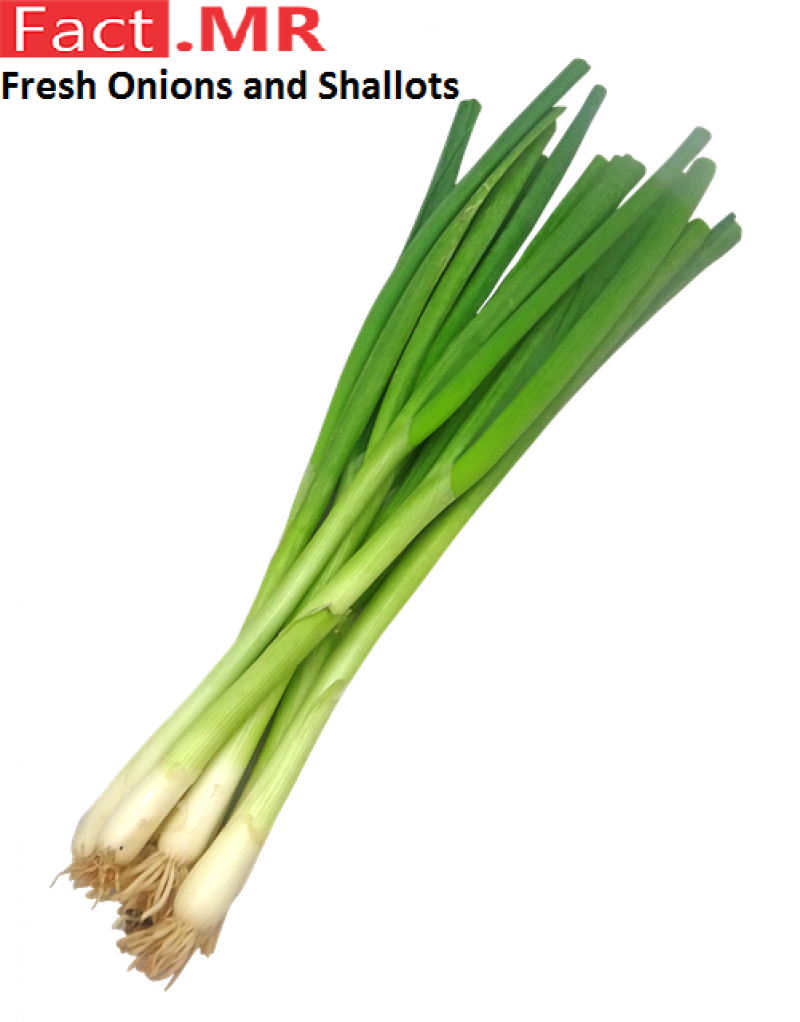 Fresh-Onions -and-Shallots