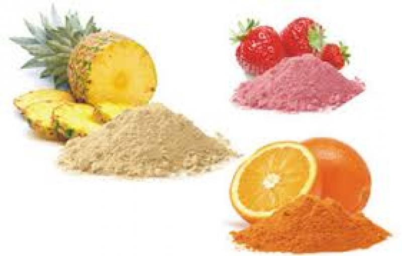 Fruit Powder Market 