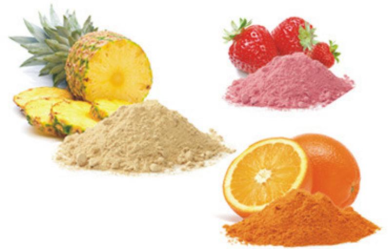  Fruit/Vegetable Powder Market