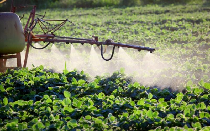  Fungicides