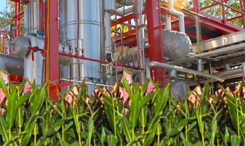  Furfural Market