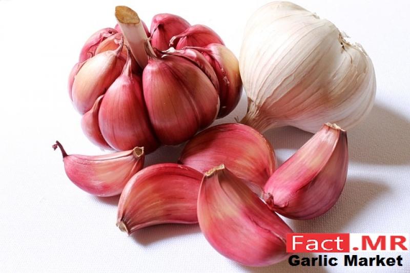 Garlic Market-Fact.MR