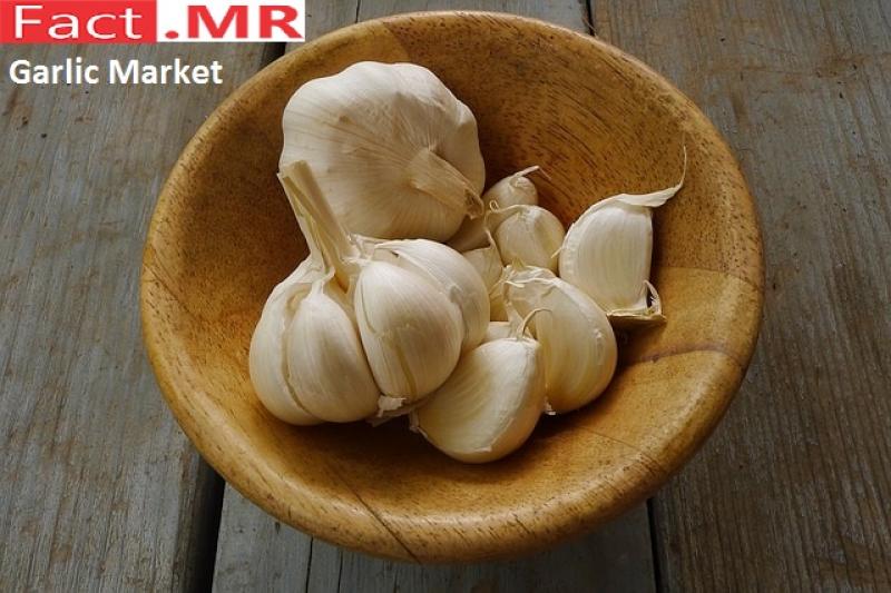 Garlic-Market