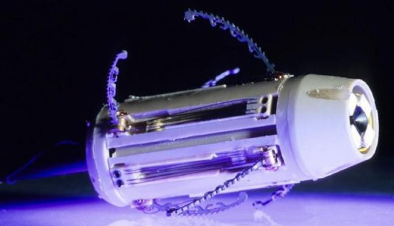 Gastrointestinal Endoscopic Devices