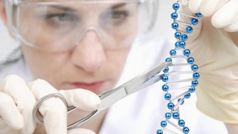 Gene Therapy