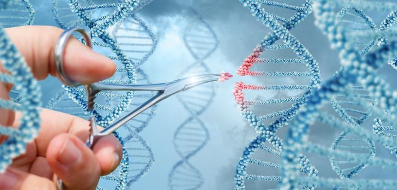 Gene Therapy