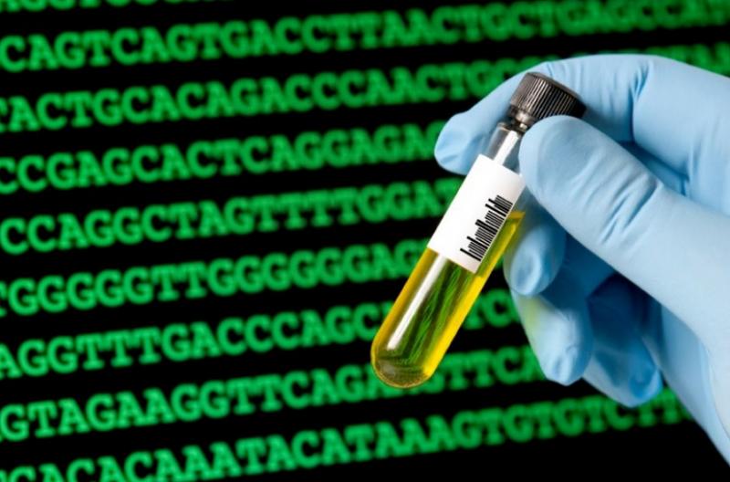 Genetic Testing Services