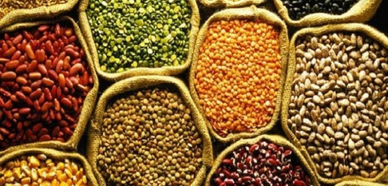 Genetically Modified Seeds Market 2024