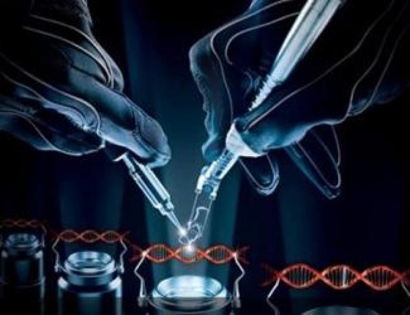 Genome Editing/Genome Engineering Market Genome Editing/Genome Engineering Market