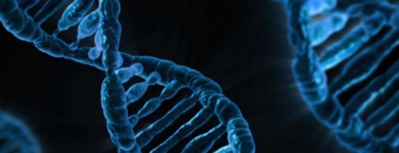 Genotyping Market 