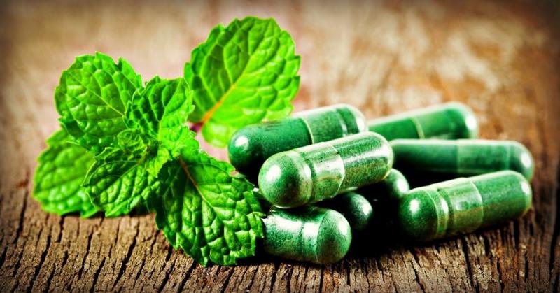 Germany Nutritional Supplements Market