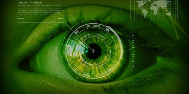 Global Automotive Biometric Access System market Share