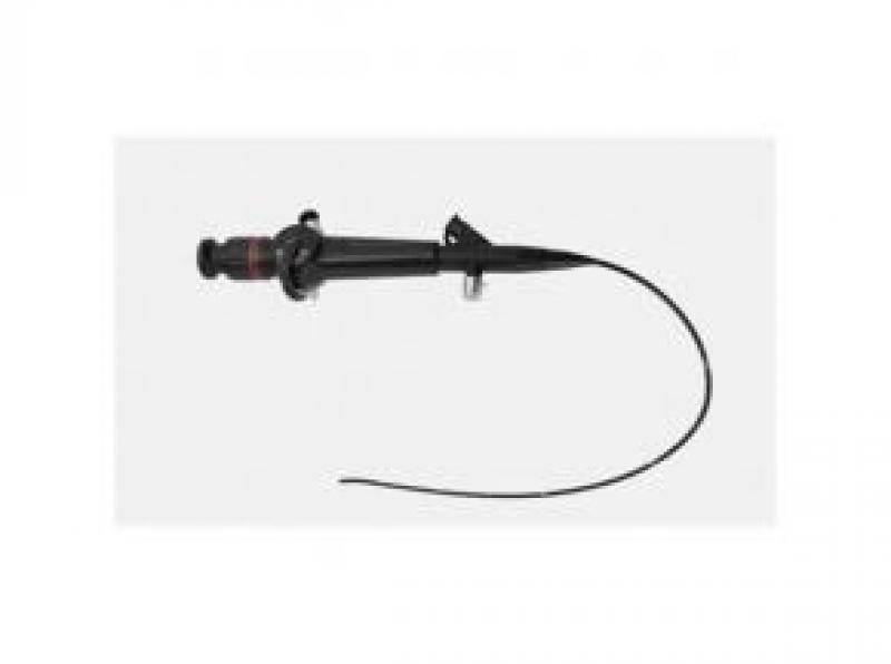 Global Bronchoscopes Market Size, Status and Forecast 2022 Global Bronchoscopes Market Size, Status and Forecast 2022