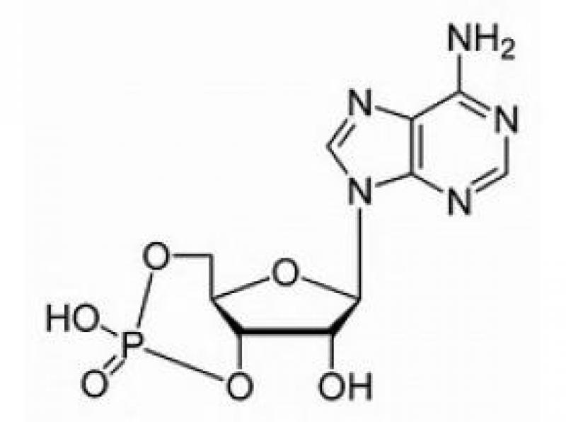 Global Cyclic Adenosine Monophosphate Market Professional Survey Report 2017