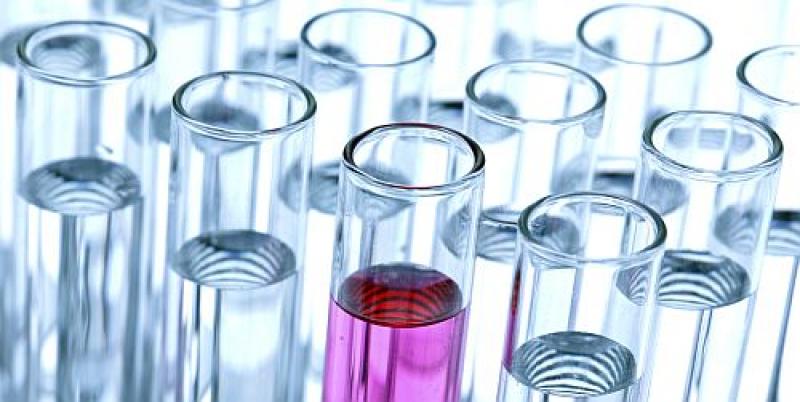 Global Disperse Textile Fiber Estimated 