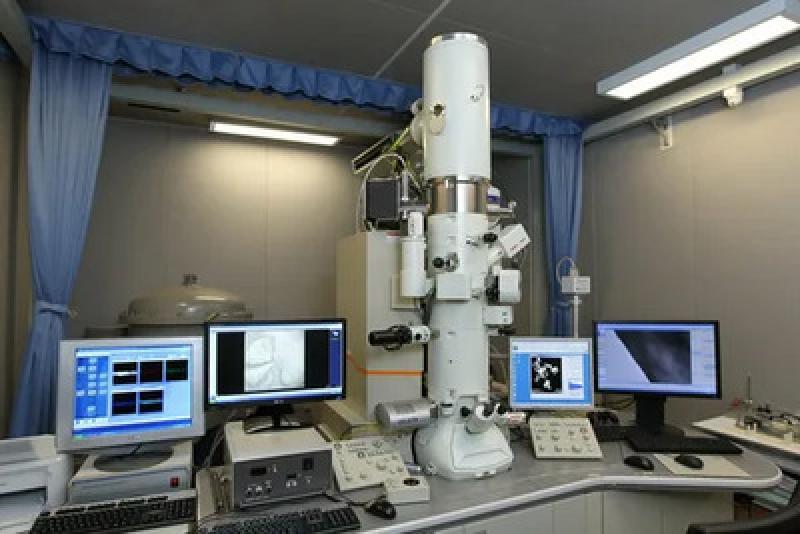 The Global Electron Microscope Market 