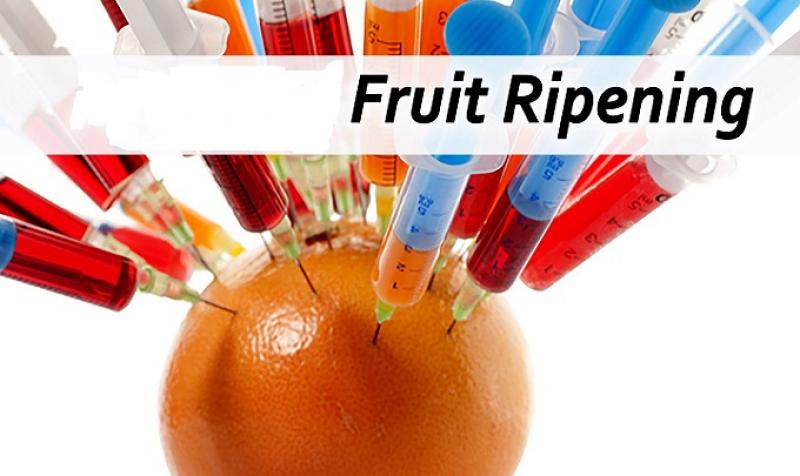 Global Fruit Ripening Gas Market