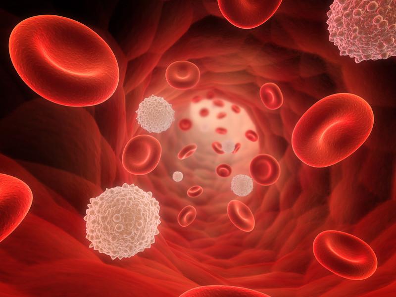 Global Leukemia Therapeutics Market