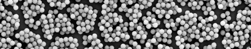 Magnetic Microspheres Market 