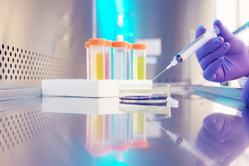 Global Morquio Syndrome (MPS-IV) Drug 