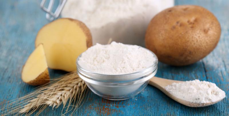 The global starch and starch product market 