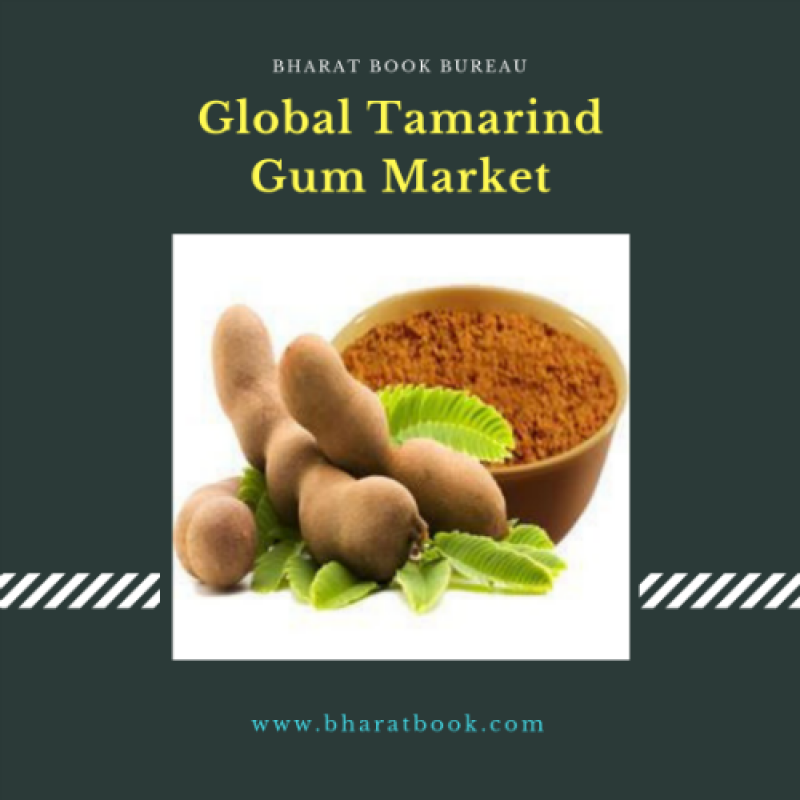Global Tamarind Gum Market : Revenue, Opportunity, Segment and Key Trends 2018-2023