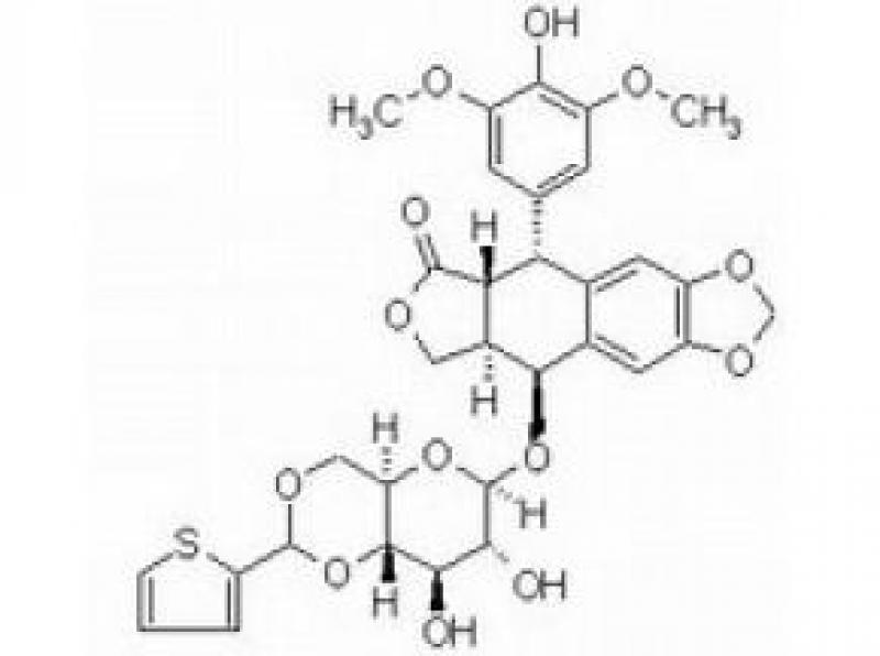 Global Teniposide Sales Market Report 2017