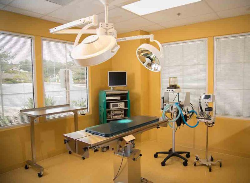 Global Veterinary Furniture