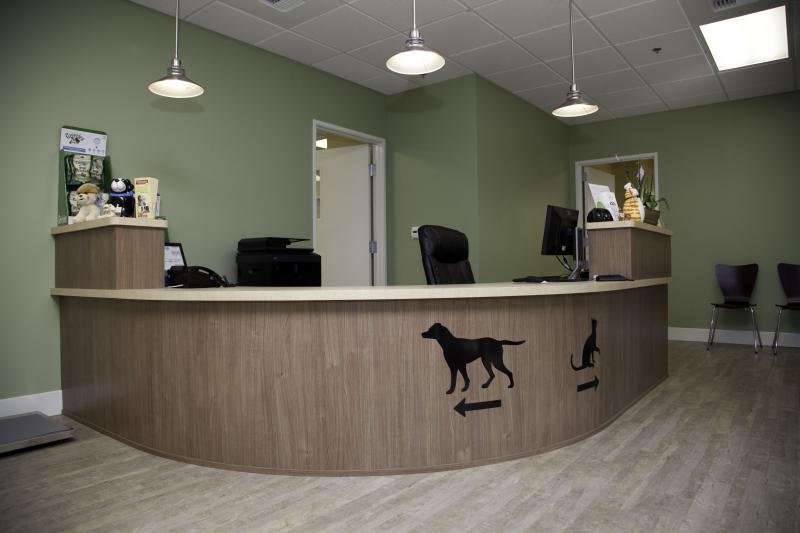 Veterinary Furniture Market 