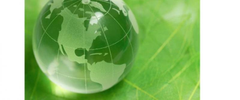 Microbial Pesticides Market 