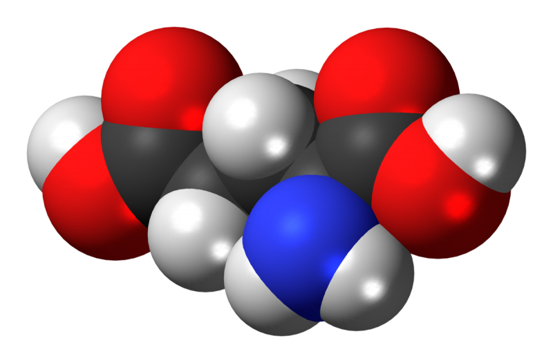 Glutamic Acid