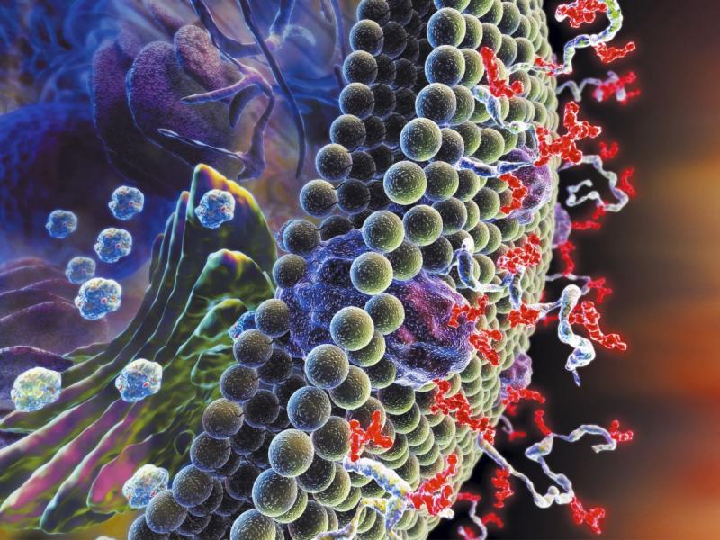 Glycobiology Market